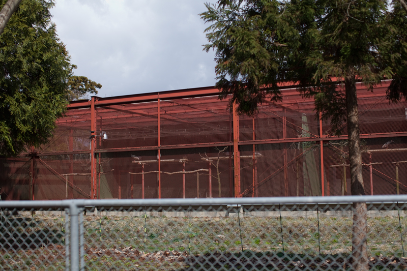 トキの飼育されているケージ